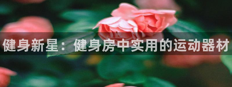 凯捷体育招商电话号码是多少啊：健身新星：健身房中实用