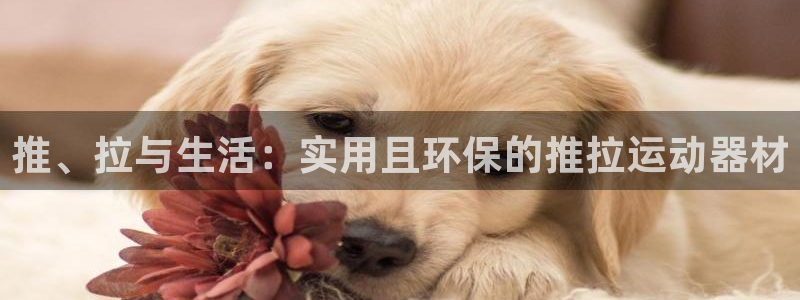 注册凯捷体育：推、拉与生活：实用且环保的推拉运动器材