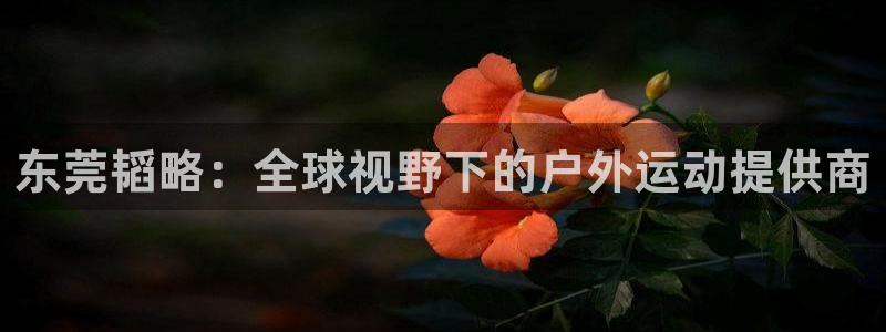 凯捷体育开户：东莞韬略：全球视野下的户外运动提供商