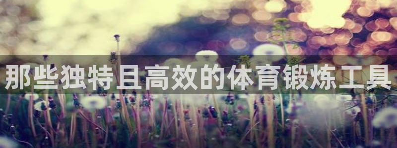凯捷体育联系电话：那些独特且高效的体育锻炼工具
