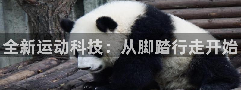 凯捷体育官方客服电话：全新运动科技：从脚踏行走开始