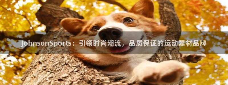 凯捷体育娱乐首页官网下载：JohnsonSports