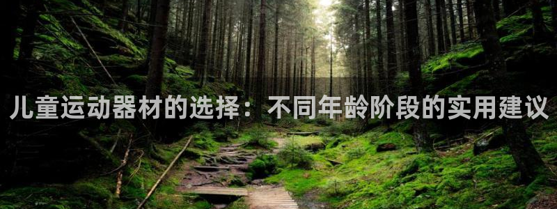 凯捷体育开户：儿童运动器材的选择：不同年龄阶段的实用
