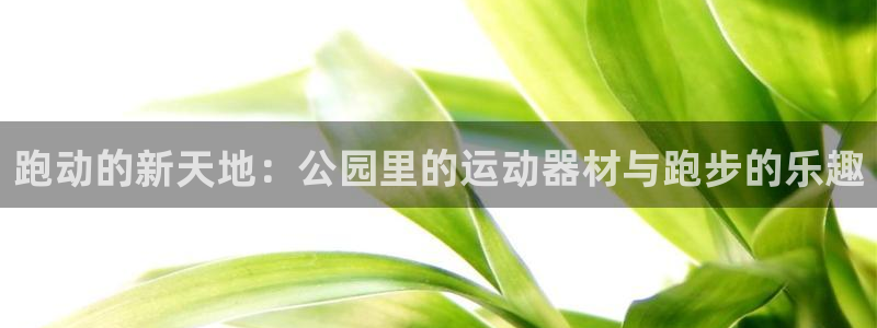 凯捷体育五金厂：跑动的新天地：公园里的运动器材与跑步