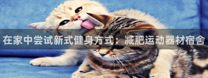 凯捷体育官方客服电话：在家中尝试新式健身方式：减肥运