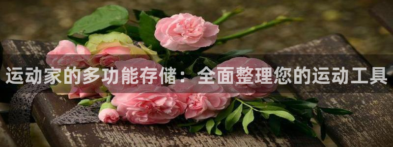 凯捷体育娱乐：运动家的多功能存储：全面整理您的运动工