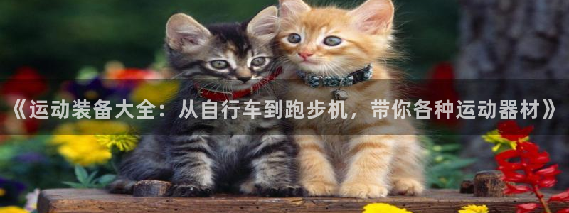 凯捷体育招商电话地址查询：《运动装备大全：从自行车到