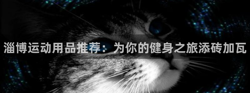 凯捷体育科技：淄博运动用品推荐：为你的健身之旅添砖加