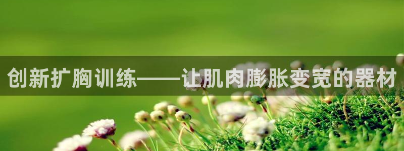 凯捷体育平台注册：创新扩胸训练——让肌肉膨胀变宽的器
