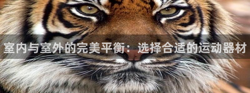 凯捷体育官方：室内与室外的完美平衡：选择合适的运动器