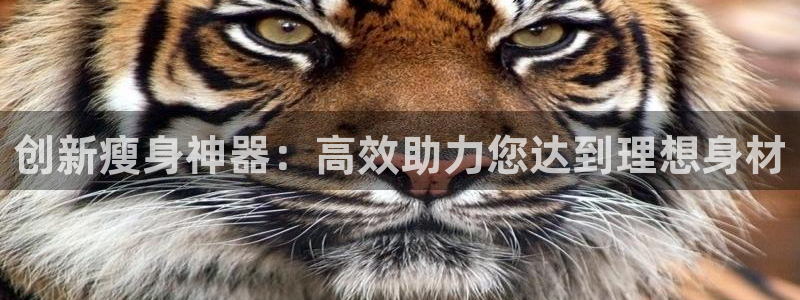 凯捷体育娱乐40996：创新瘦身神器：高效助力您达到