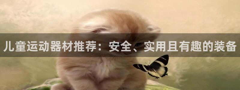 凯捷体育集团官网首页：儿童运动器材推荐：安全、实用且有趣的装