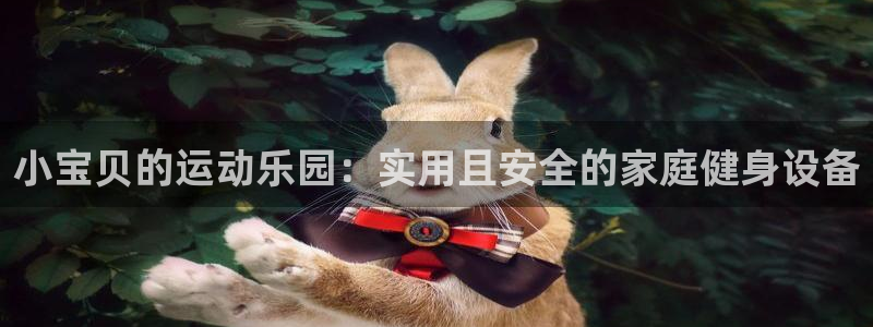 凯捷体育娱乐40996