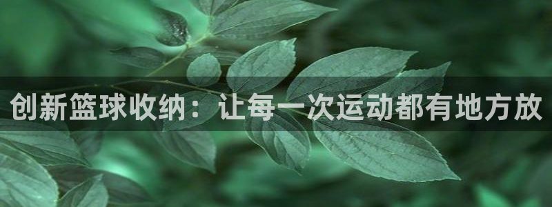 凯捷体育娱乐