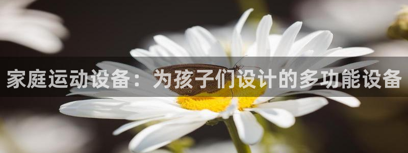 凯捷体育软件：家庭运动设备：为孩子们设计的多功能设备