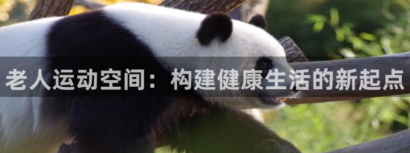 凯捷体育平台是正规平台吗安全吗：老人运动空间：构建健