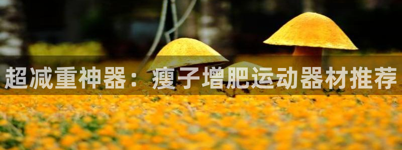 凯捷体育娱乐：超减重神器：瘦子增肥运动器材推荐