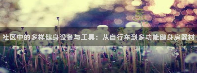 凯捷体育娱乐平台：社区中的多样健身设备与工具：从自行