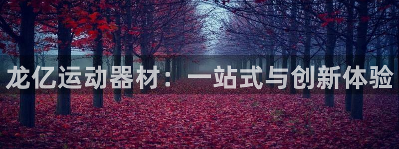 海南凯捷体育发展怎么样：龙亿运动器材：一站式与创新体