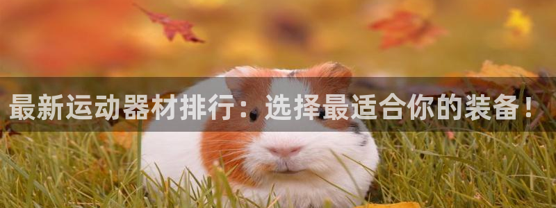 凯捷体育集团：最新运动器材排行：选择最适合你的装备！