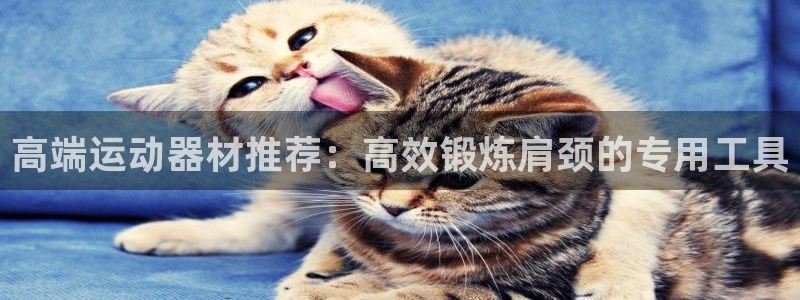 凯捷体育平台：高端运动器材推荐：高效锻炼肩颈的专用工