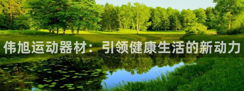 凯捷体育开户：伟旭运动器材：引领健康生活的新动力