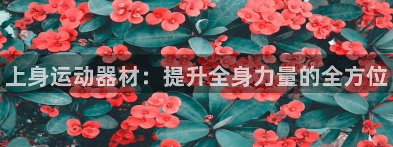 凯捷体育招商电话地址是多少：上身运动器材：提升全身力量的全方