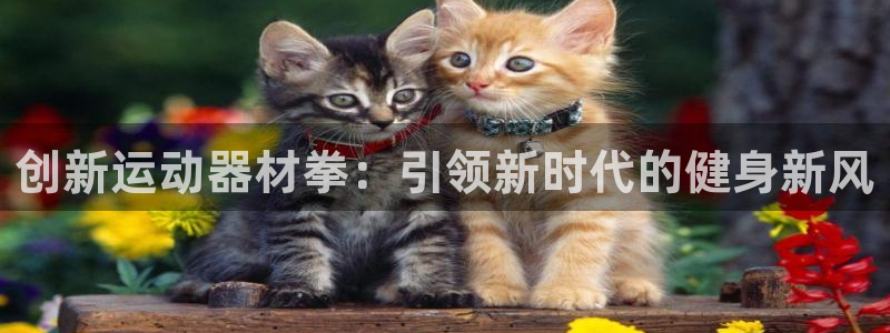 凯捷体育招商电话地址：创新运动器材拳：引领新时代的健