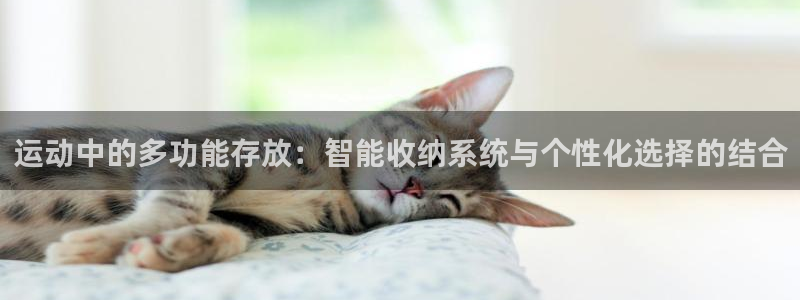 凯捷体育科技：运动中的多功能存放：智能收纳系统与个性