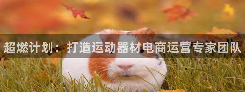 凯捷体育招商：超燃计划：打造运动器材电商运营专家团队