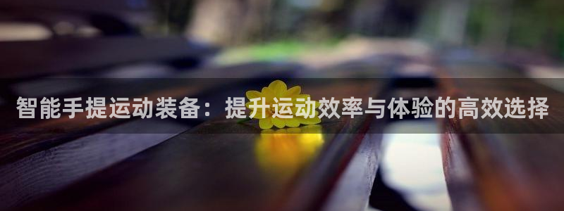 凯捷体育集团：智能手提运动装备：提升运动效率与体验的