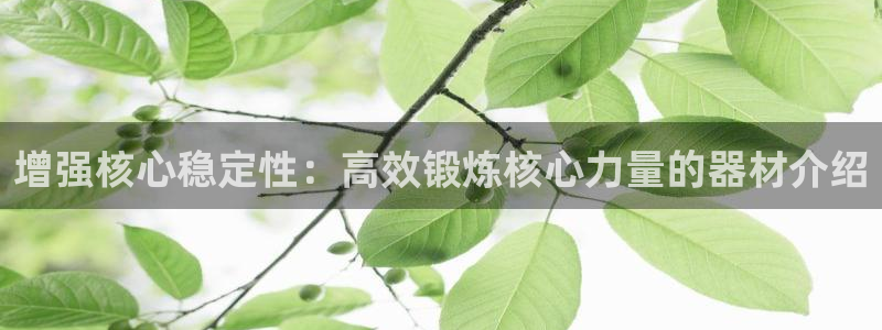 凯捷体育开户：增强核心稳定性：高效锻炼核心力量的器材介绍