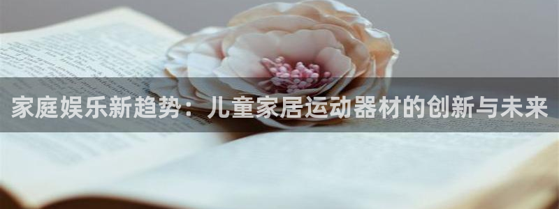 凯捷体育平台注册流程图：家庭娱乐新趋势：儿童家居运动器材的创