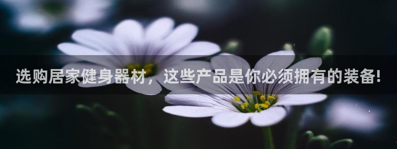 凯捷体育官方：选购居家健身器材，这些产品是你必须拥有的装备!