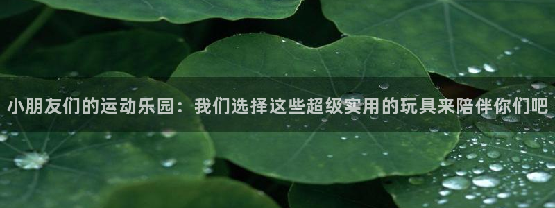 凯捷体育是干嘛的公司