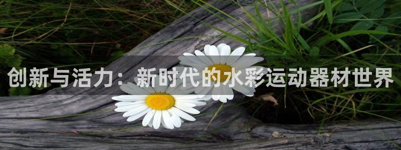 凯捷体育官方客服电话：创新与活力：新时代的水彩运动器