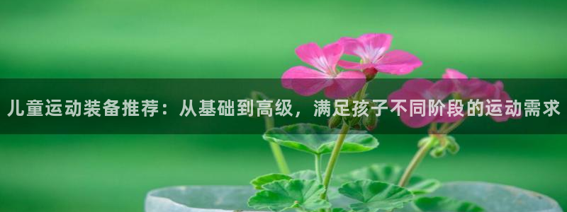 凯捷体育招商电话号码查询：儿童运动装备推荐：从基础到高级，满