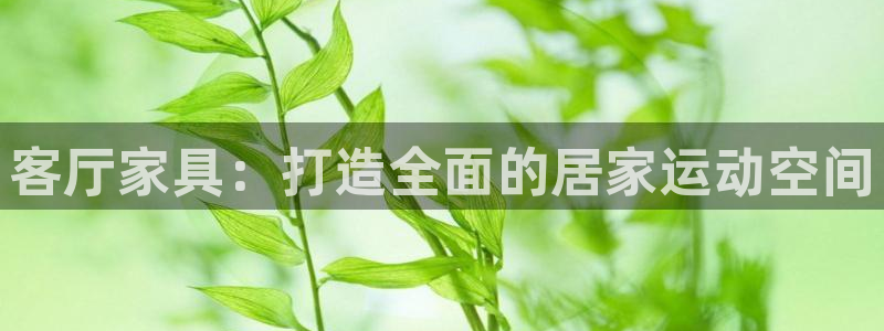 凯捷体育娱乐首页官网下载：客厅家具：打造全面的居家运动空间
