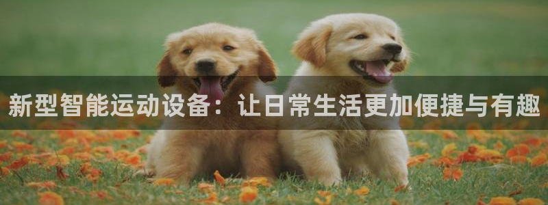 凯捷体育娱乐：新型智能运动设备：让日常生活更加便捷与有趣