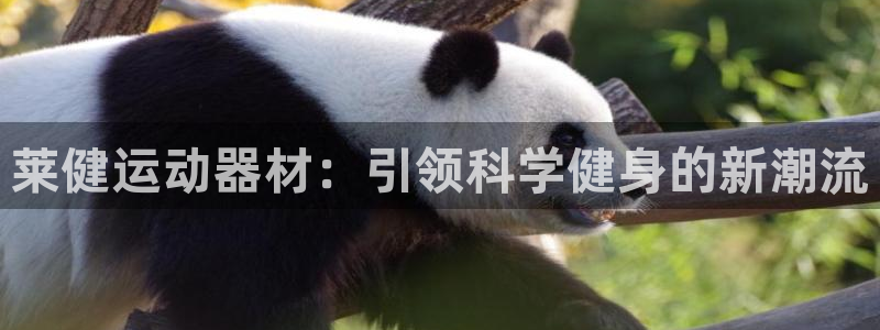 海南凯捷体育发展怎么样：莱健运动器材：引领科学健身的新潮流