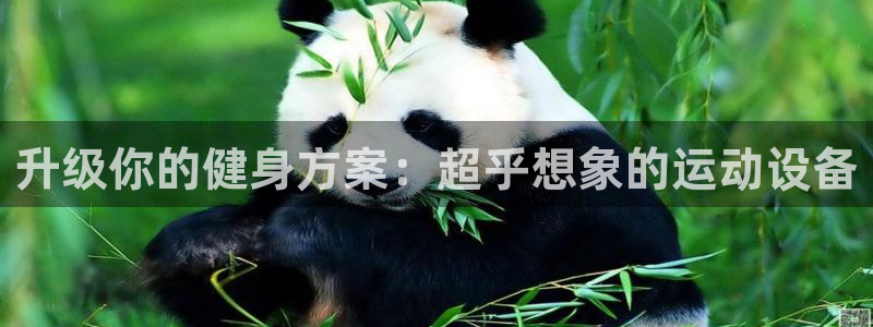 凯捷体育招商电话地址查询：升级你的健身方案：超乎想象