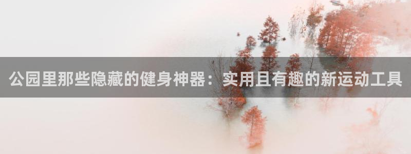 凯捷体育集团logo：公园里那些隐藏的健身神器：实用