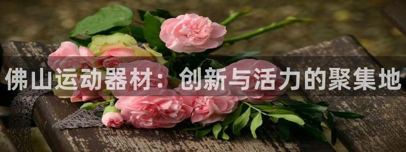 凯捷体育神州：佛山运动器材：创新与活力的聚集地