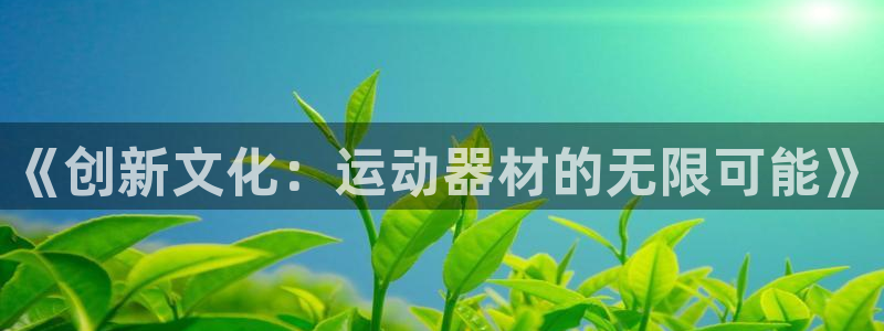 凯捷体育平台注册要钱吗是真的吗：《创新文化：运动器材