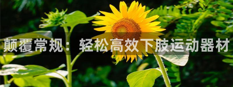凯捷体育注册：颠覆常规：轻松高效下肢运动器材