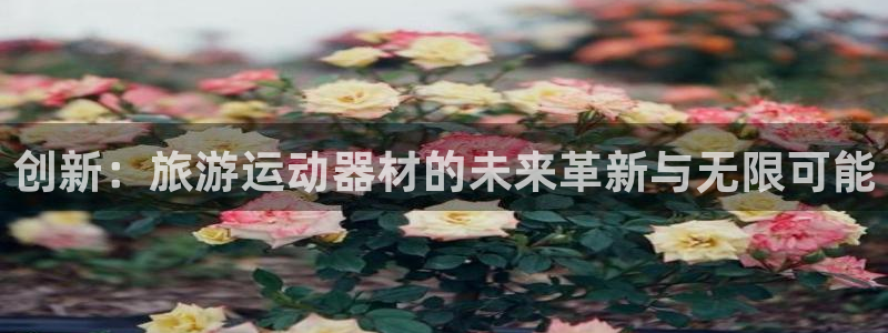凯捷体育招商电话号码是多少号：创新：旅游运动器材的未