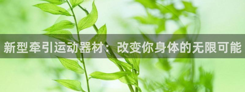 凯捷体育官网：新型牵引运动器材：改变你身体的无限可能