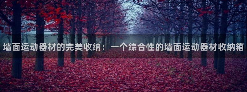 凯捷体育