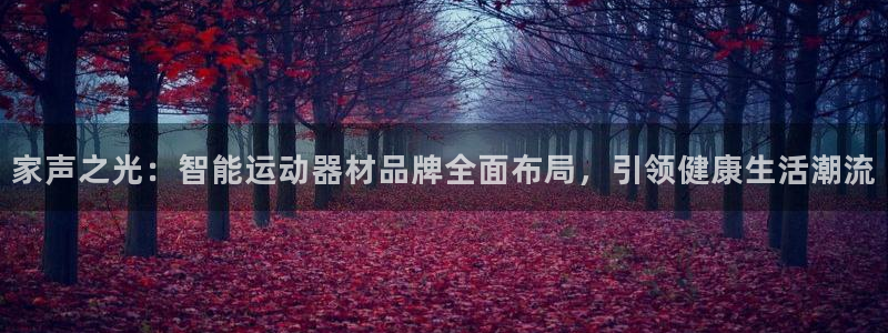 凯捷体育娱乐平台：家声之光：智能运动器材品牌全面布局，引领健