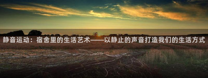 凯捷体育集团官网网址：静音运动：宿舍里的生活艺术——以静止的